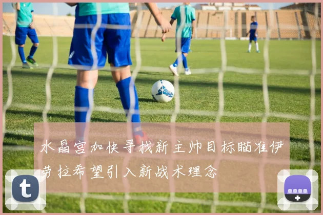 水晶宫加快寻找新主帅目标瞄准伊劳拉希望引入新战术理念